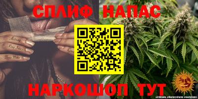 ГАЛЛЮЦИНОГЕННЫЕ ГРИБЫ Заволжье