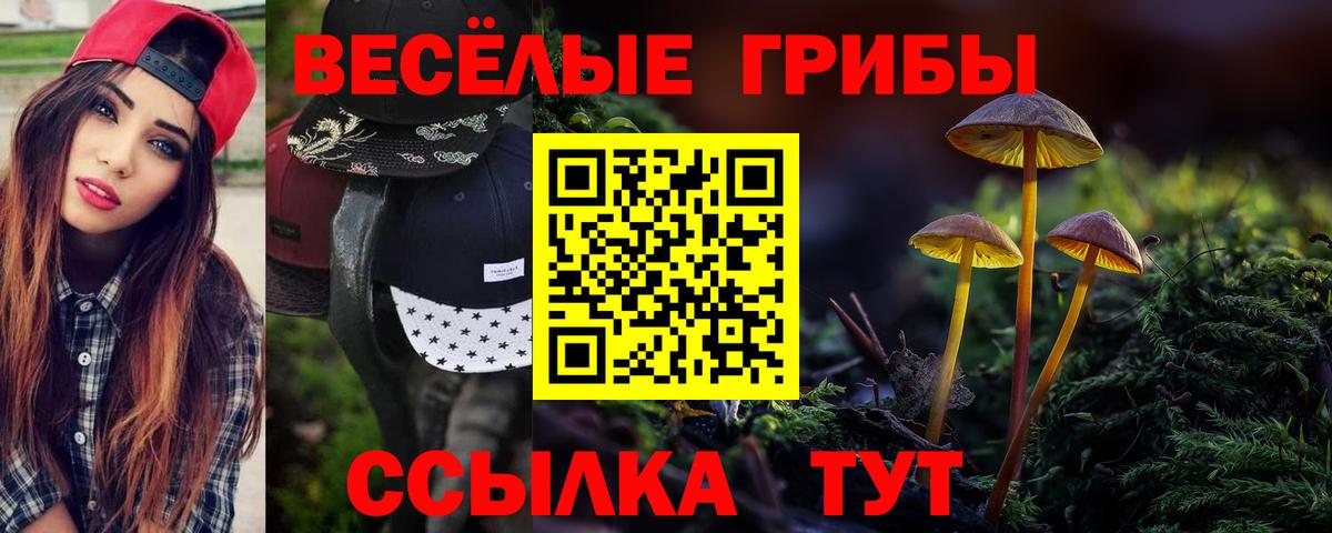  COCAIN Кушва