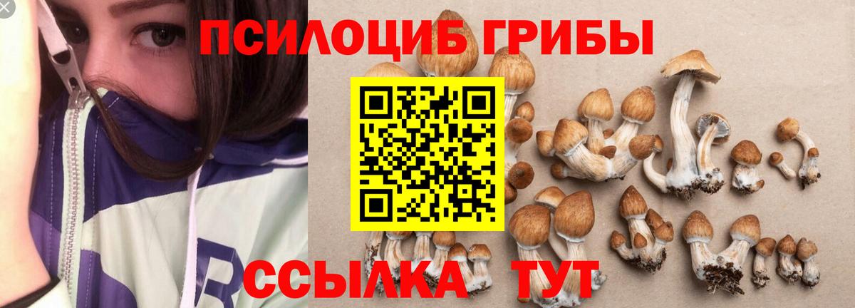 Кушва  Галлюциногенные грибы Psilocybe  Вход с VPN  Псилоцибиновые грибы Magic Shrooms 