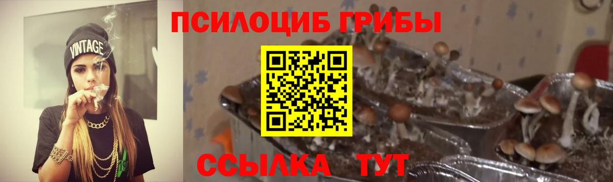 Псилоцибиновые грибы GOLDEN TEACHER Кушва